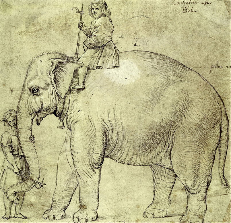 The relationship between Rome and elephants